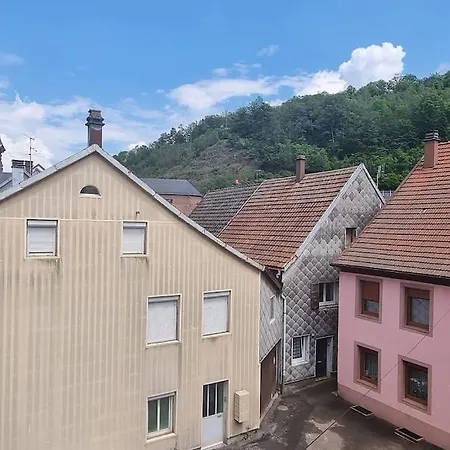 Centre Au Pied Du Chateau Schirmeck